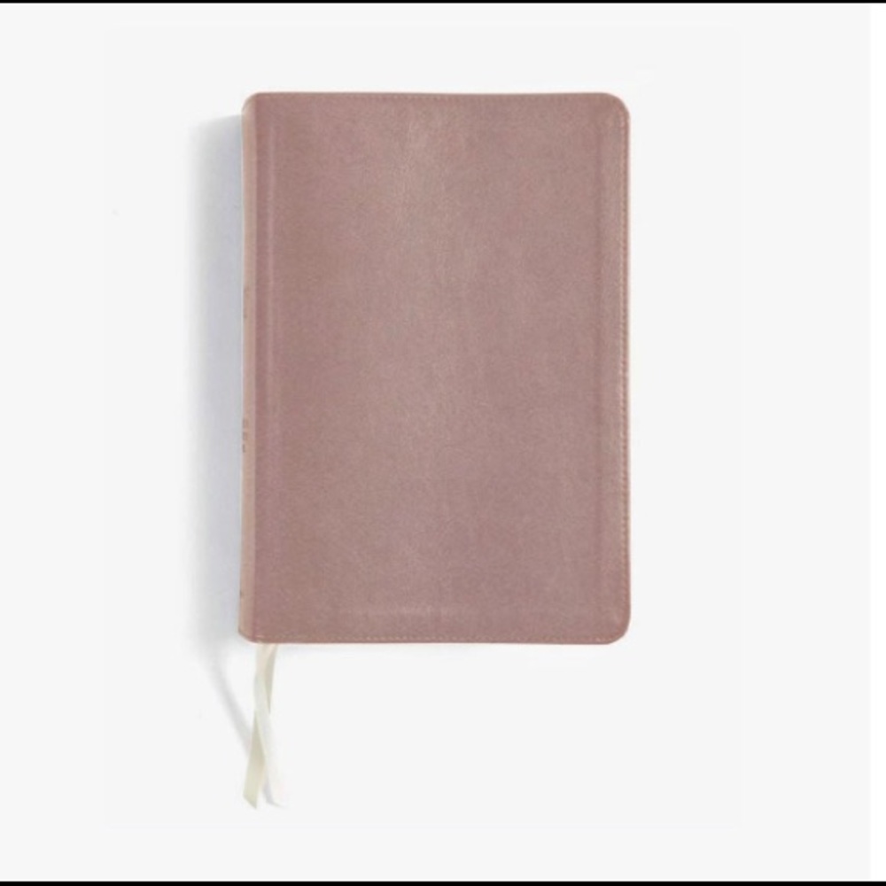 Rose Gold She Reads Truth Leathertouch Bible